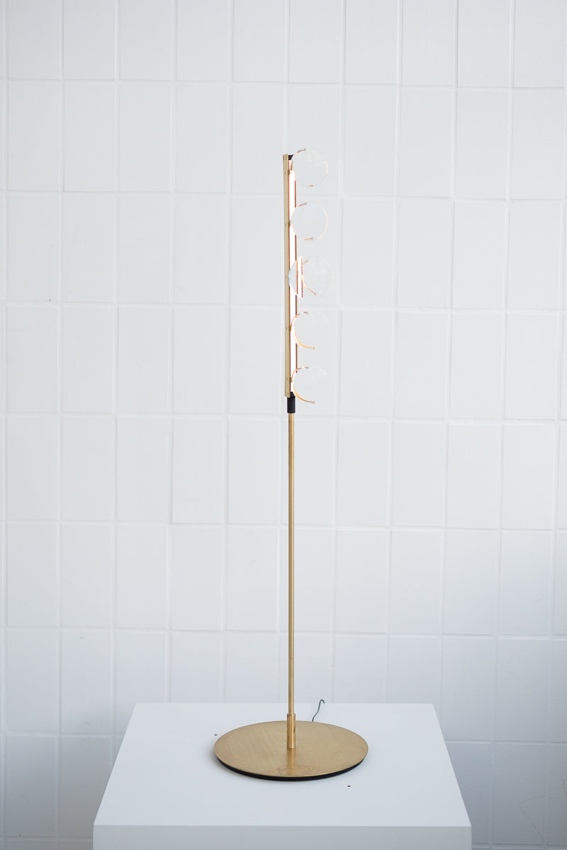 Lens Luminaire Floor Lamp