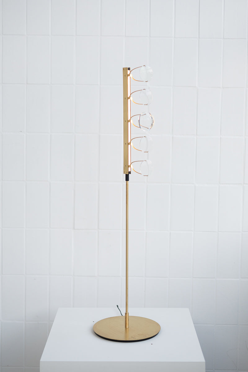 Lens Luminaire Floor Lamp